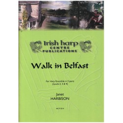 Janet Harbison, Walk in Belfast