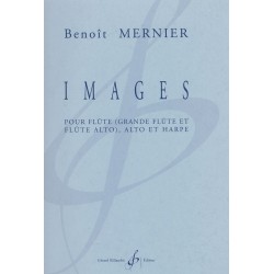 Benoît Mernier, Images