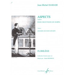 Jean-Michel Damase, Aspects