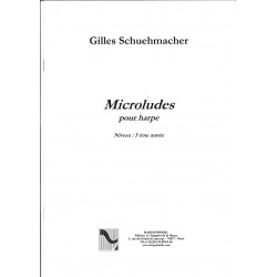 Gilles Schuehmacher, Microludes