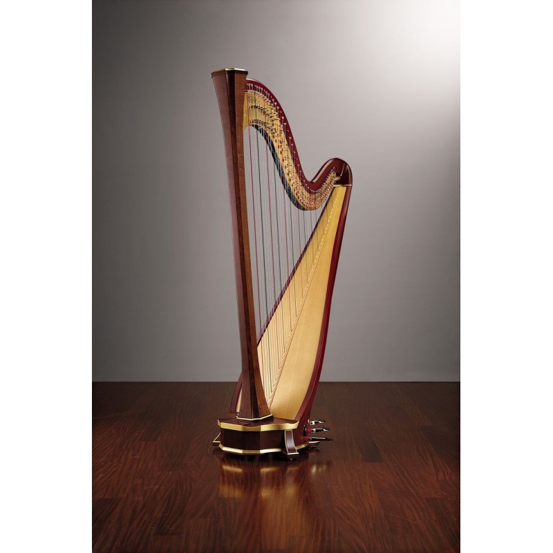 ARION SG Gold ARION SG Gold