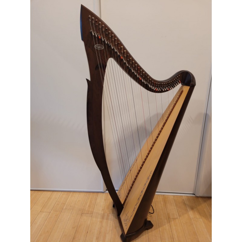 Harpe celtique d occasion Egan lectro d occasion