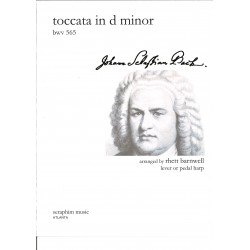 J.S Bach, Toccata in D...