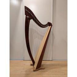 Titan Silkgut d'occasion