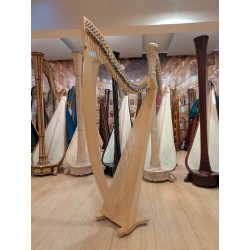 Titan Silkgut d'occasion