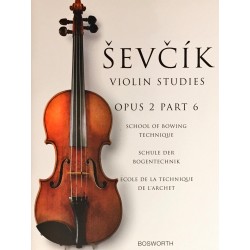 Otakar Sevcik, Sevcik Violin Studies Opus 2 Part 6