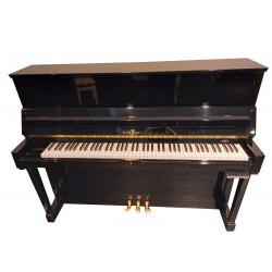 SCHIMMEL 116 cms