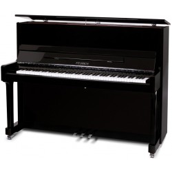 Feurich 122 noir