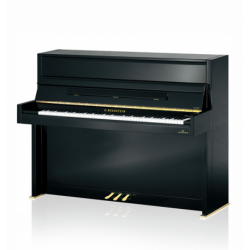 Bechstein R116 Millenium