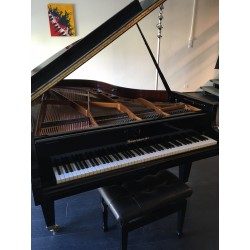 Bösendorfer 200