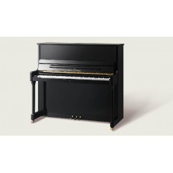 Wilh. Steinberg Signature 130