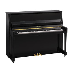 Yamaha B20