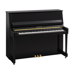 Yamaha B30 Noir
